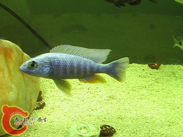 IMGA0376.JPG