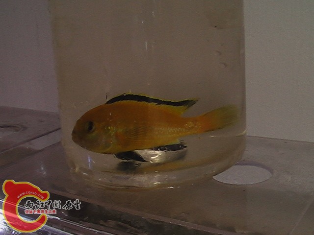 IMGA0433.JPG