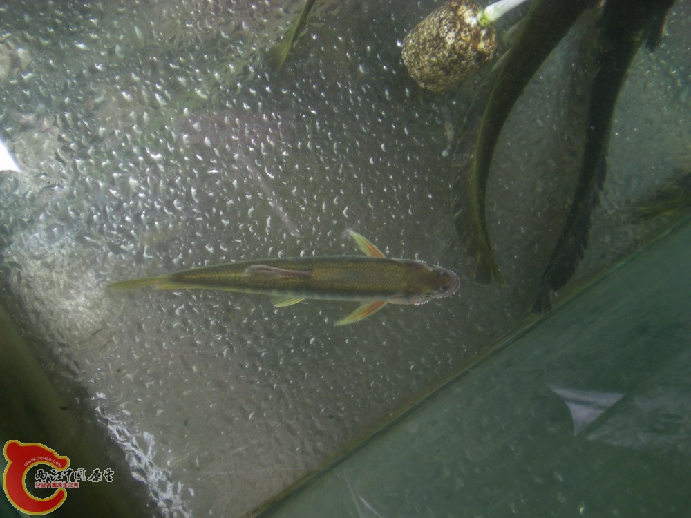 DSCN2741.jpg1.jpg