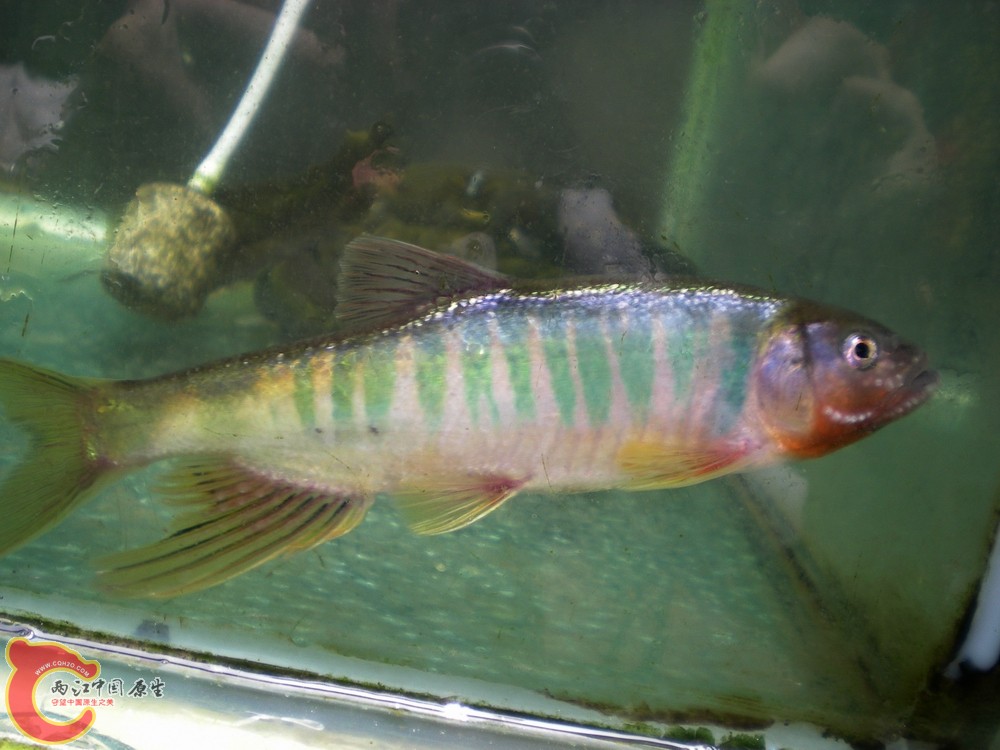 DSCN2733.jpg1.jpg