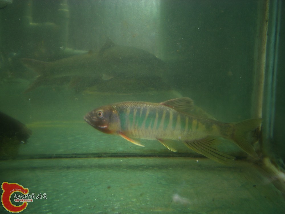 DSCN2736.jpg1.jpg