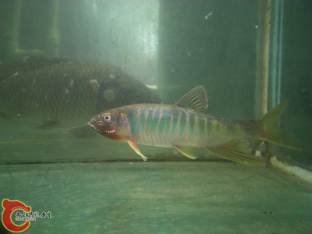 DSCN2737.jpg1.jpg