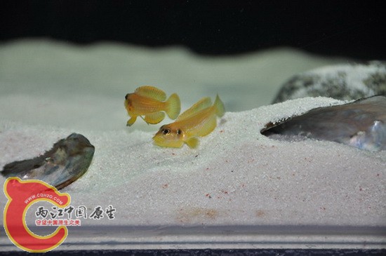 DSC_0259.JPG