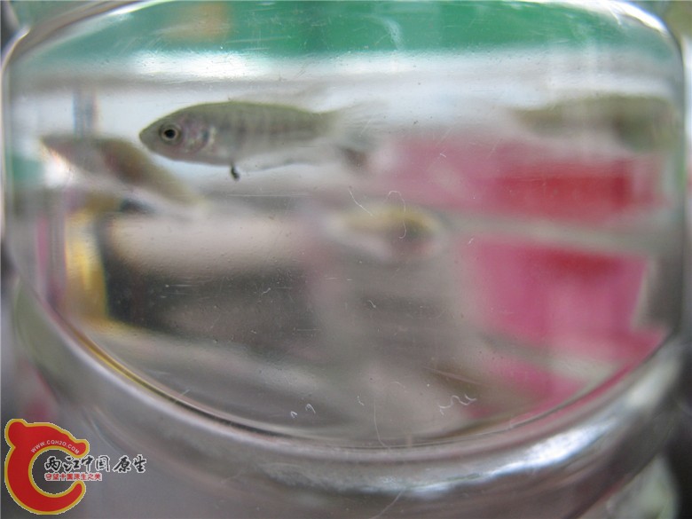 照片 009_副本.jpg