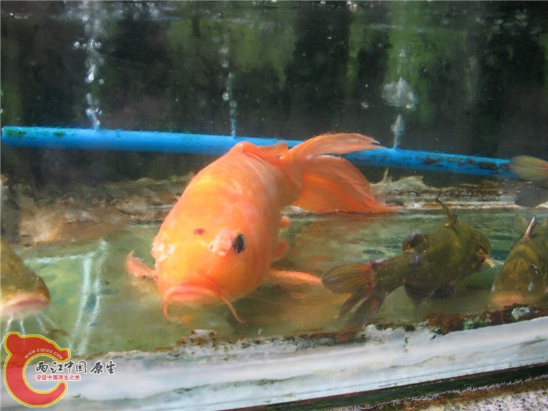 求名2.2_副本.jpg