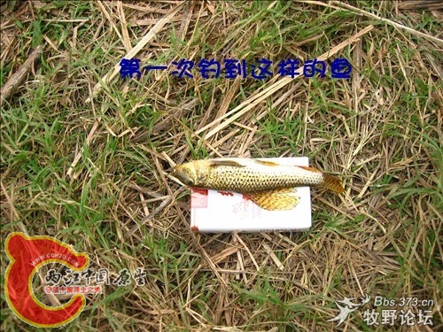 照片_046_副本.jpg