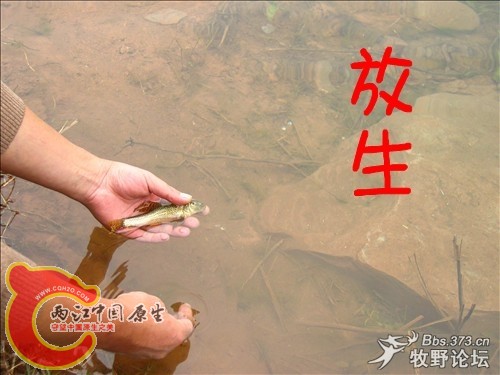 照片_055_副本.jpg
