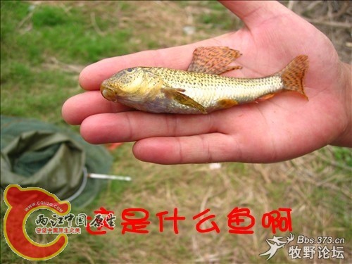 照片_049_副本.jpg
