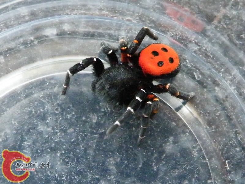 DSCF3602.JPG