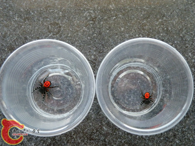 DSCF3606.JPG
