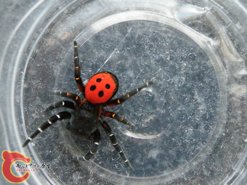 DSCF3607.JPG