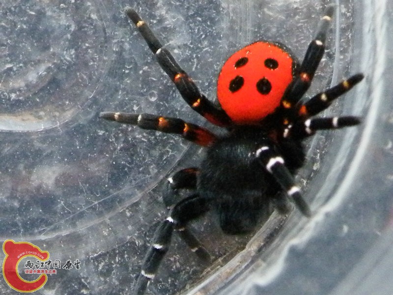 DSCF3615.JPG
