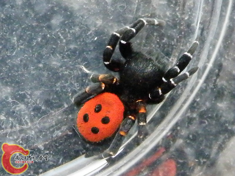 DSCF3612.JPG
