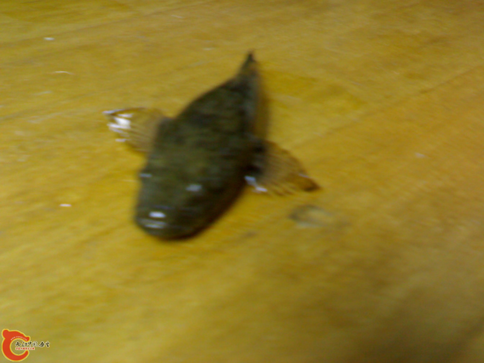 20100803154.jpg