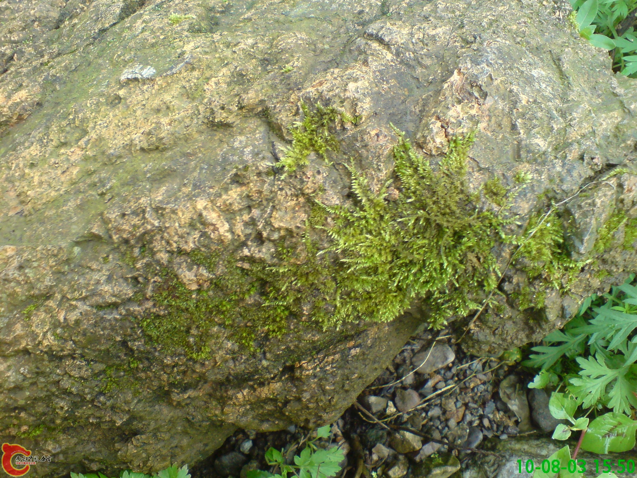 DSC01218.JPG