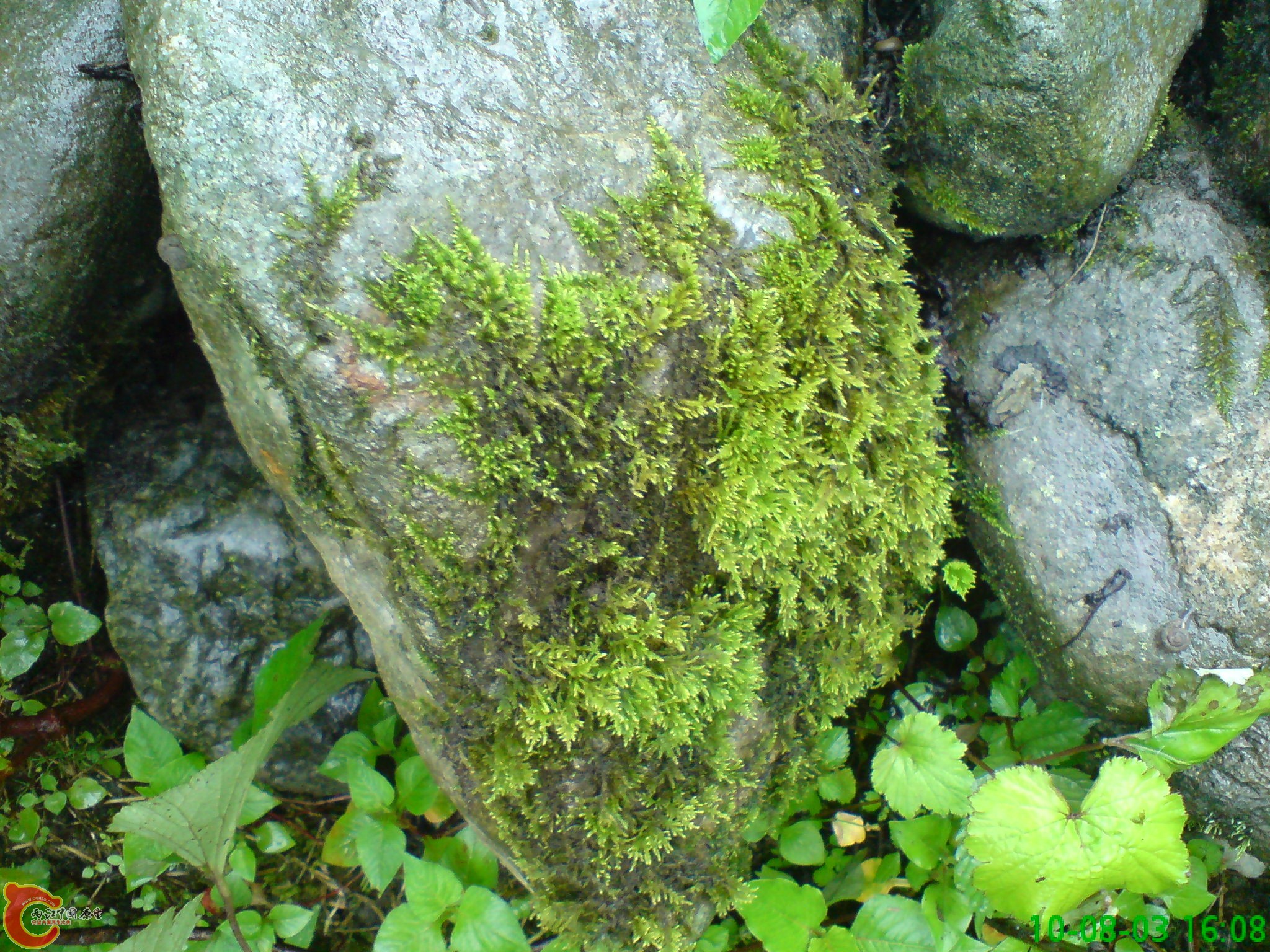 DSC01221.JPG