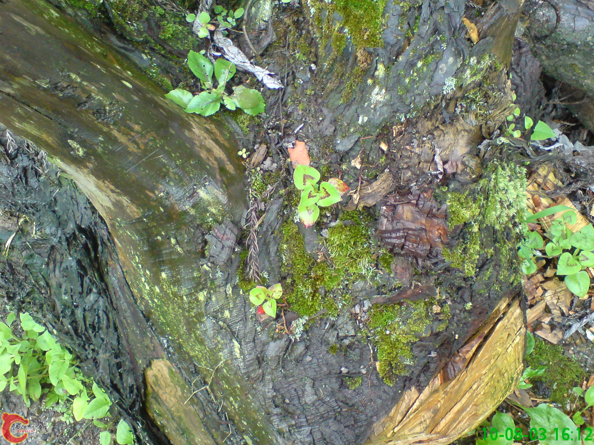 DSC01222.JPG