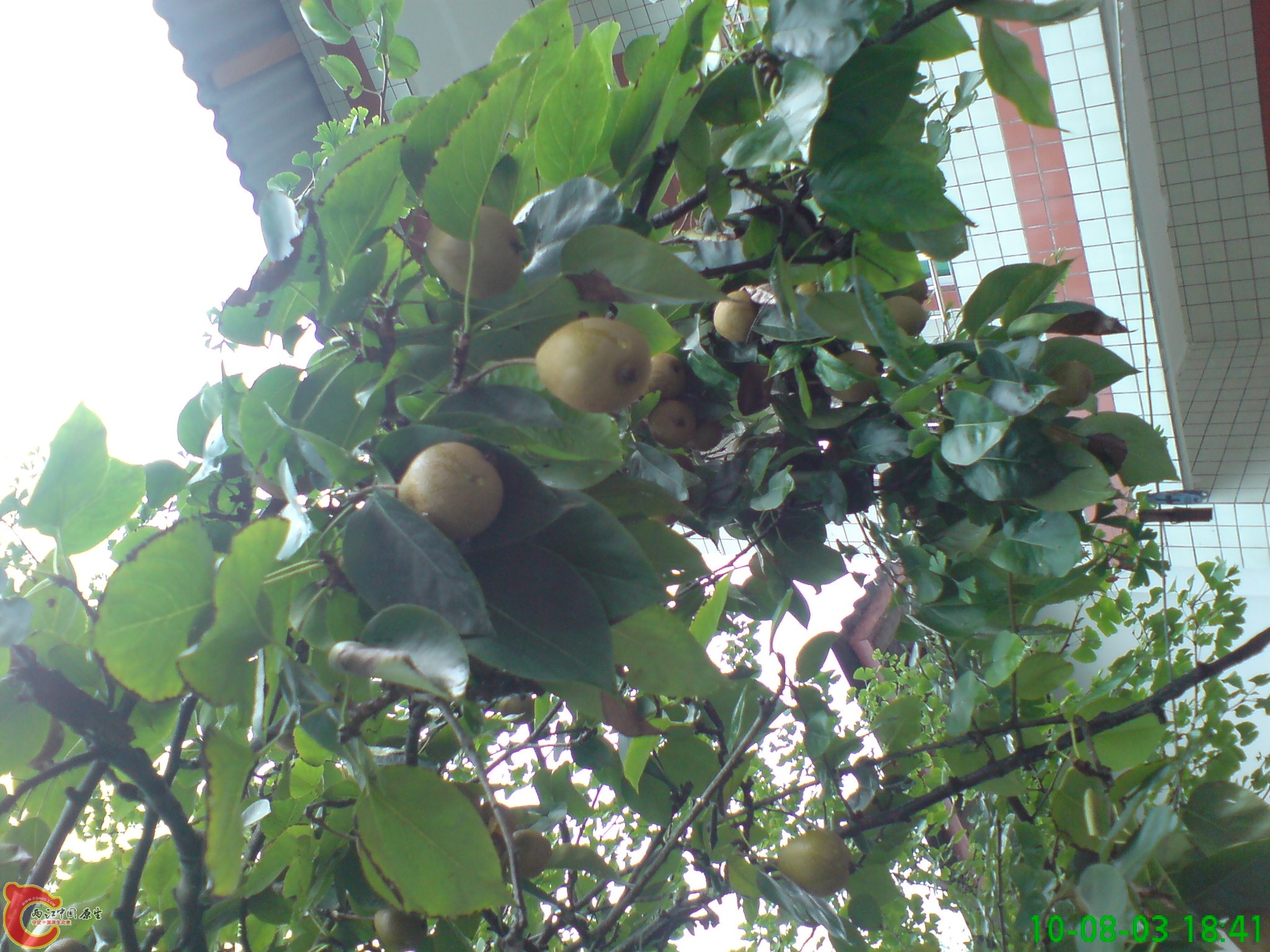 DSC01234.JPG