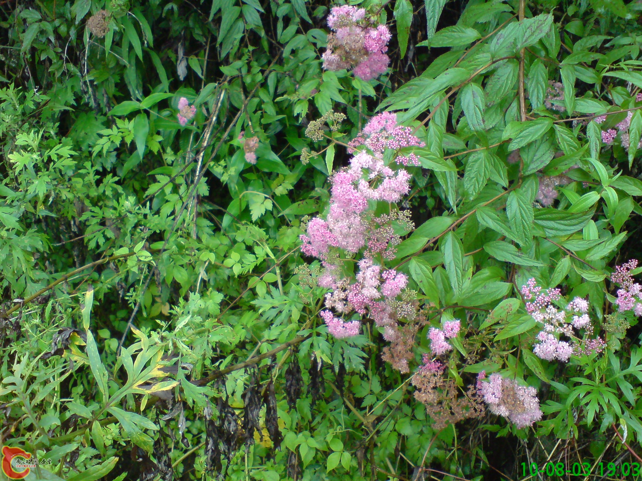 DSC01240.JPG