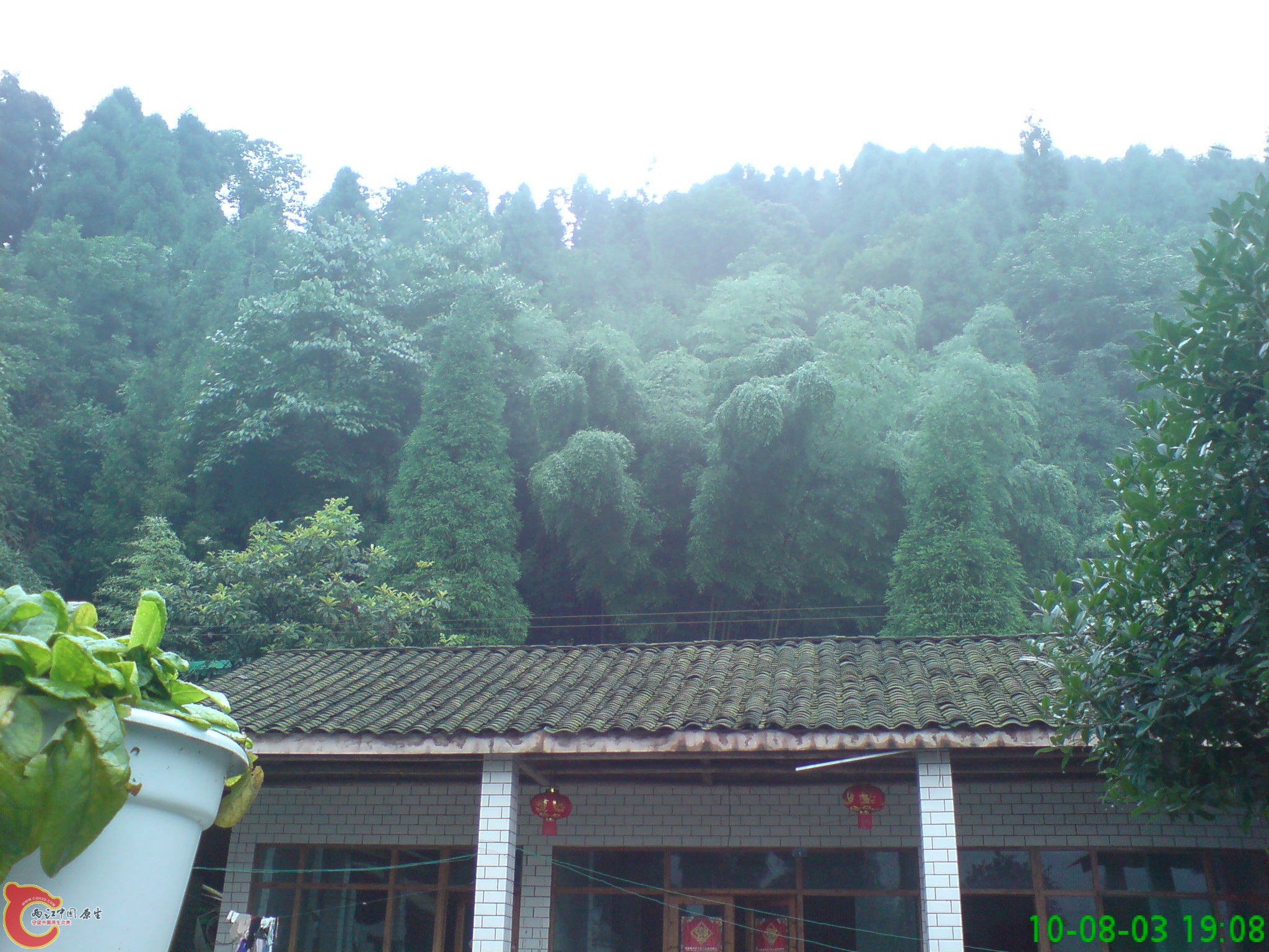 DSC01243.JPG