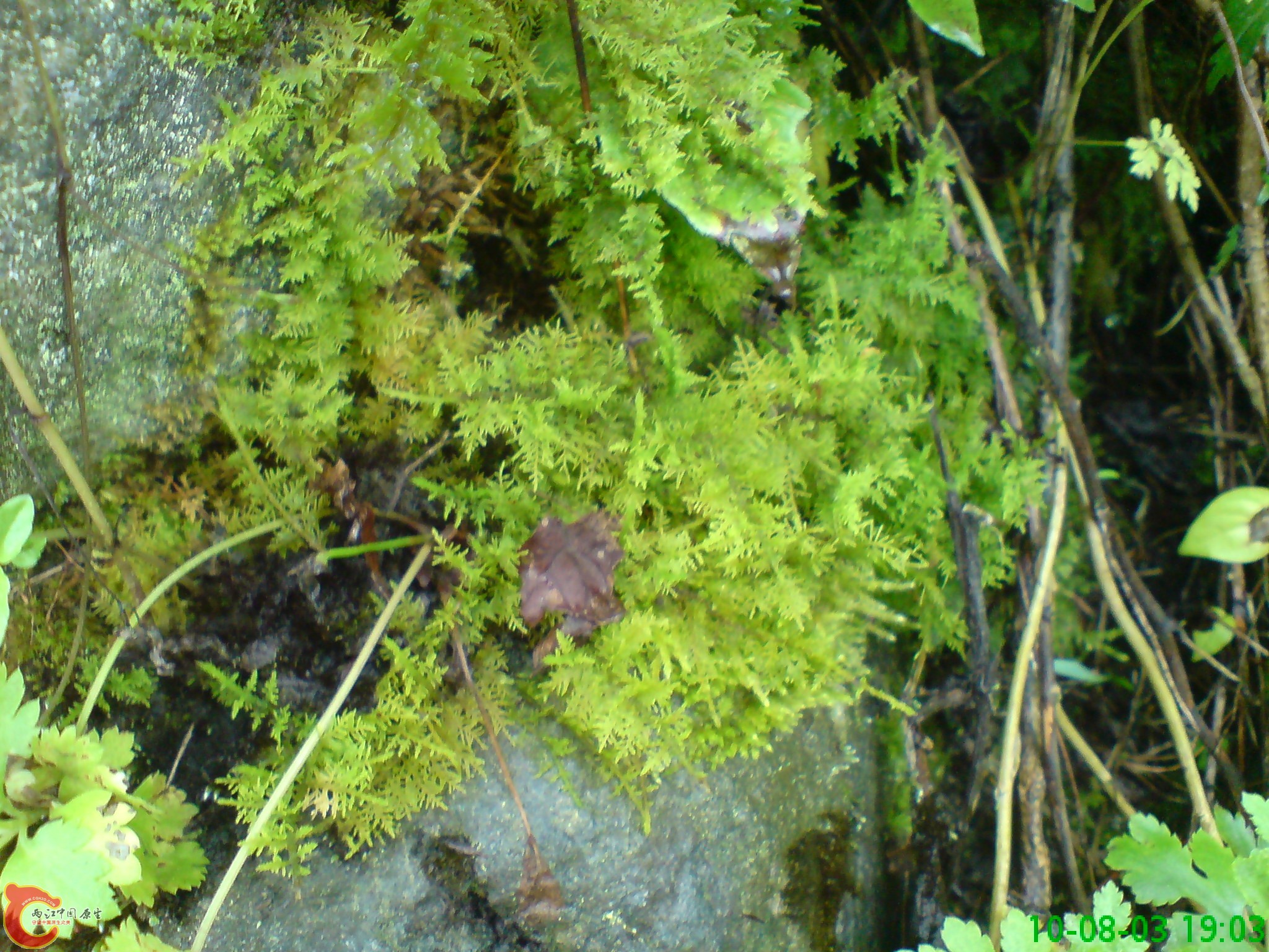 DSC01241.JPG