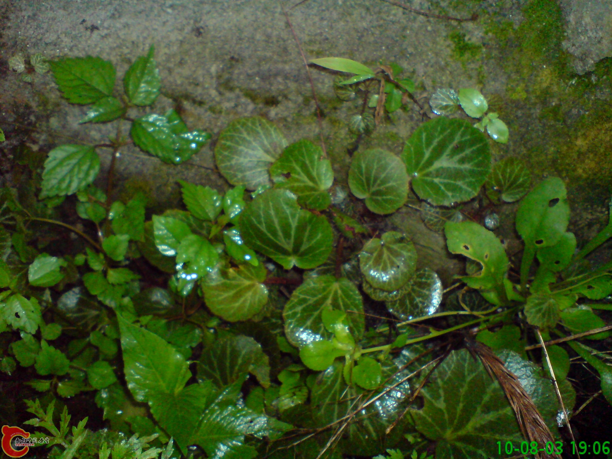 DSC01242.JPG