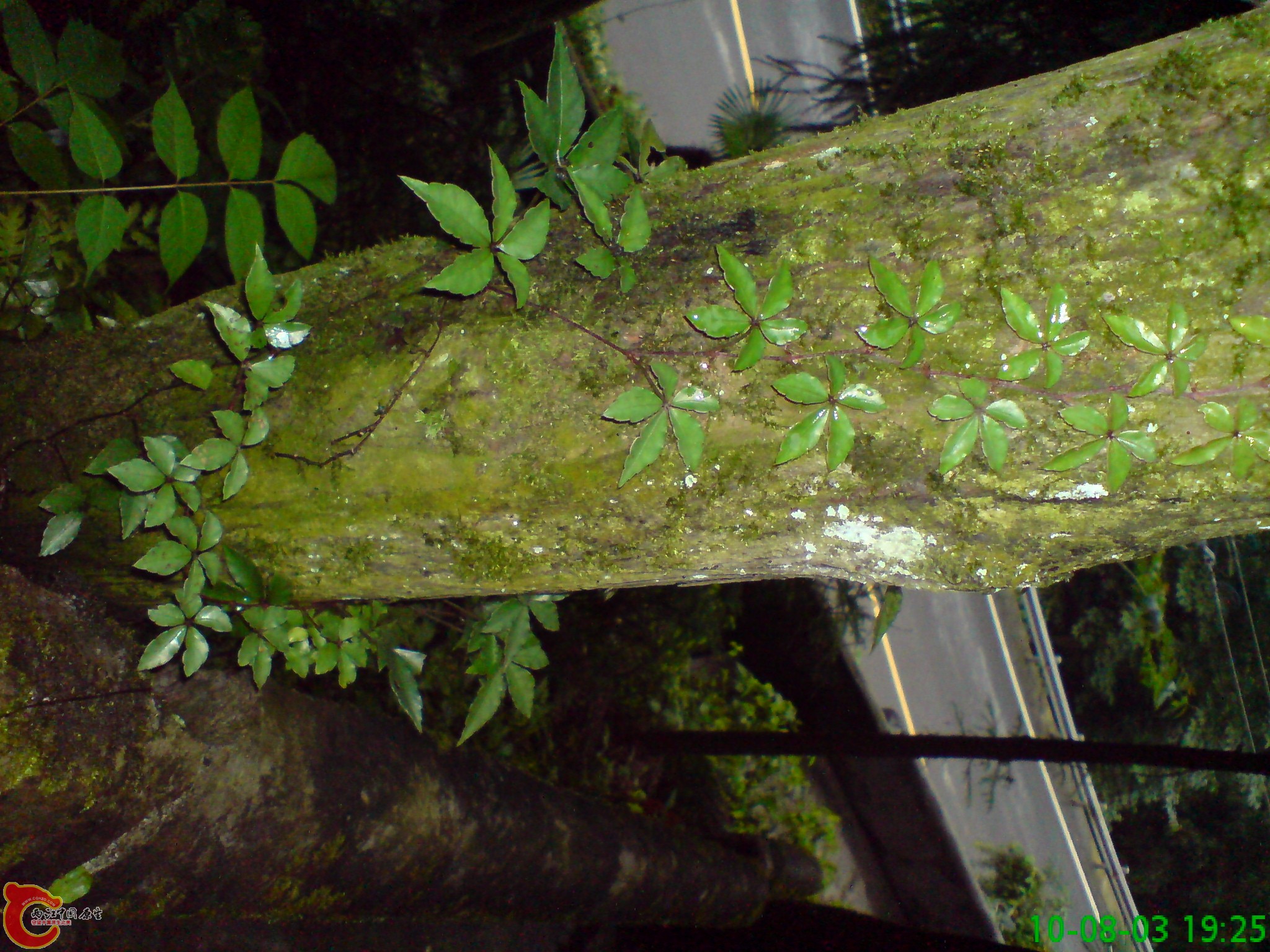 DSC01252.JPG