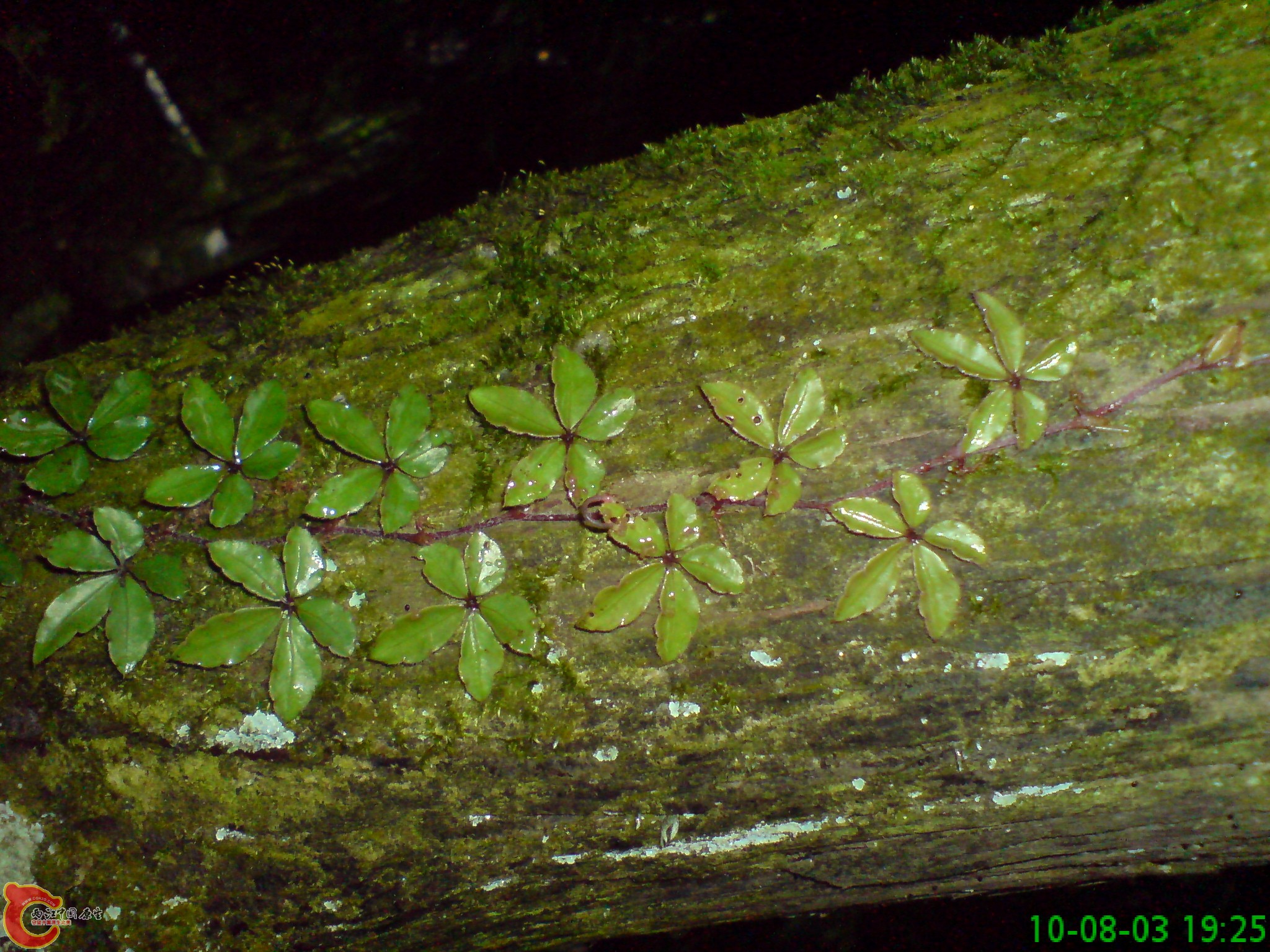 DSC01251.JPG