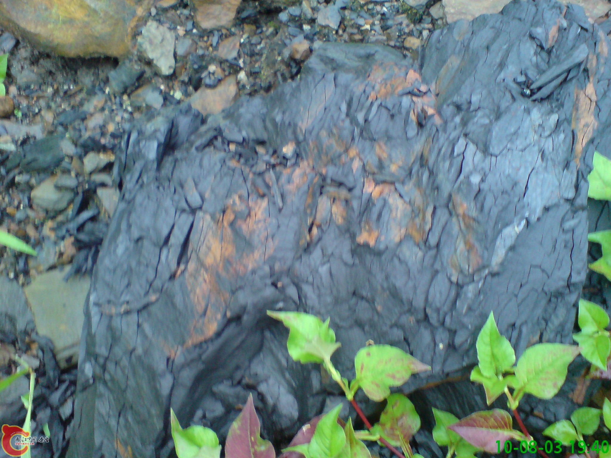 DSC01256.JPG