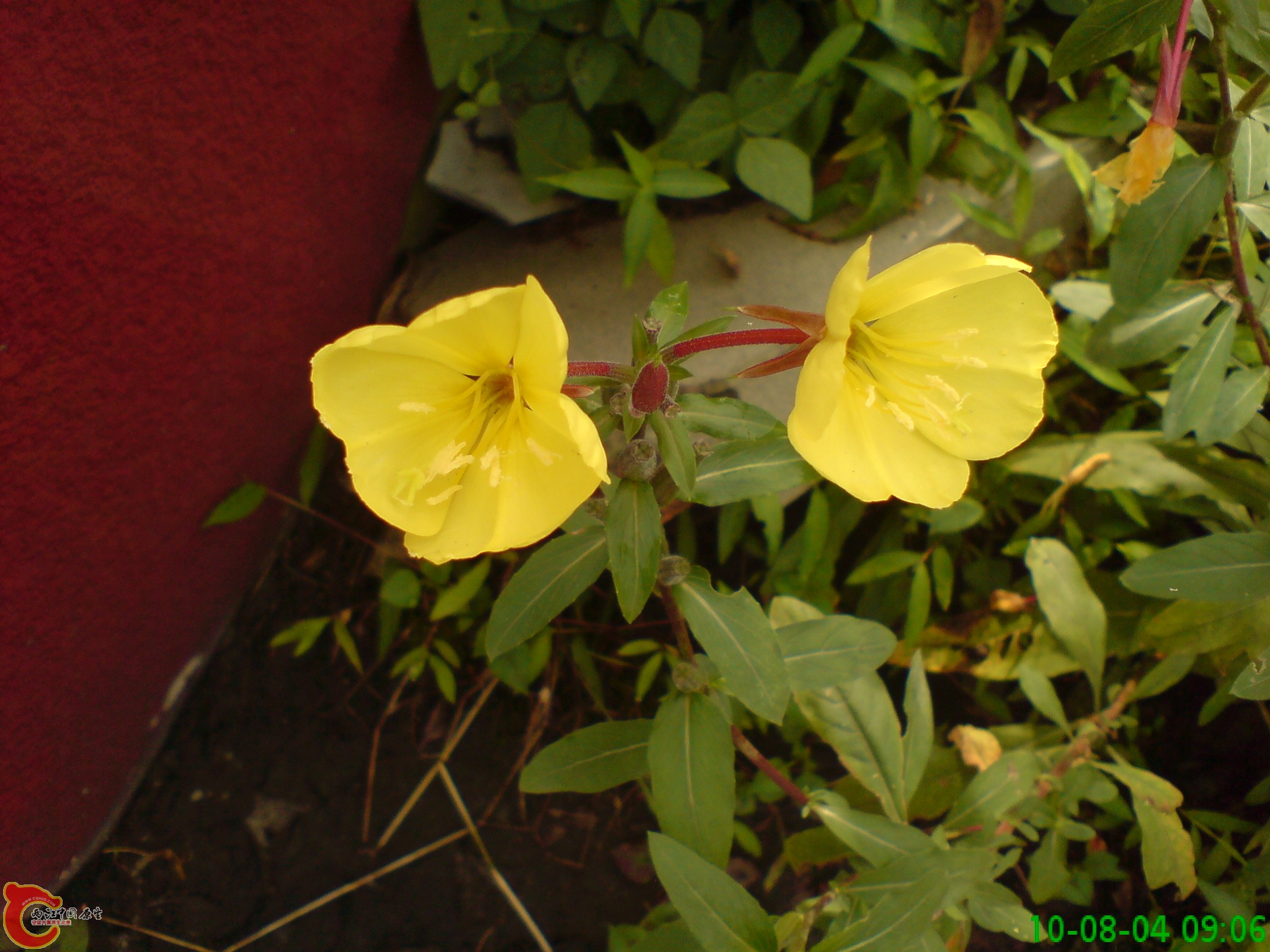 DSC01263.JPG