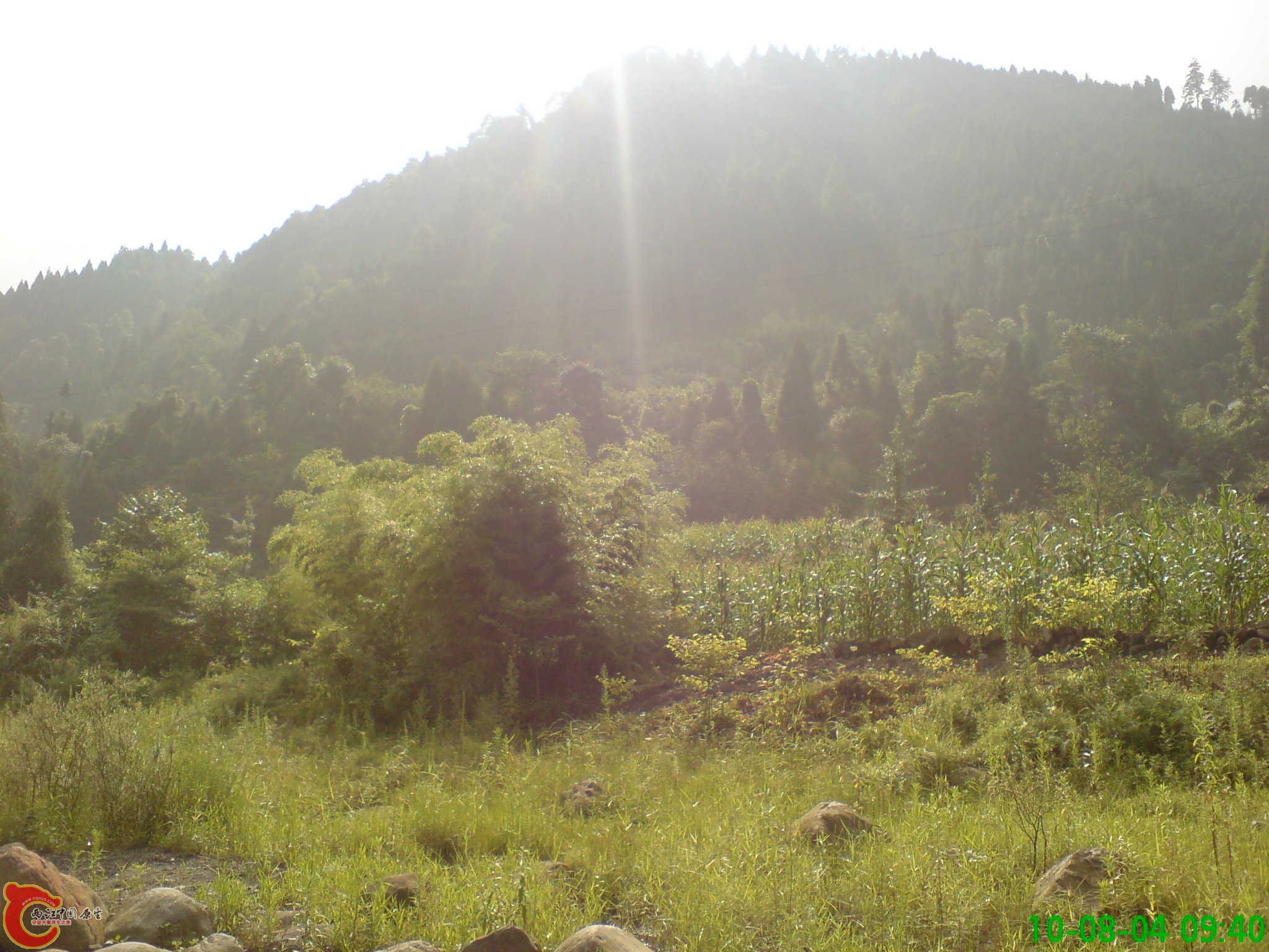 DSC01277.JPG