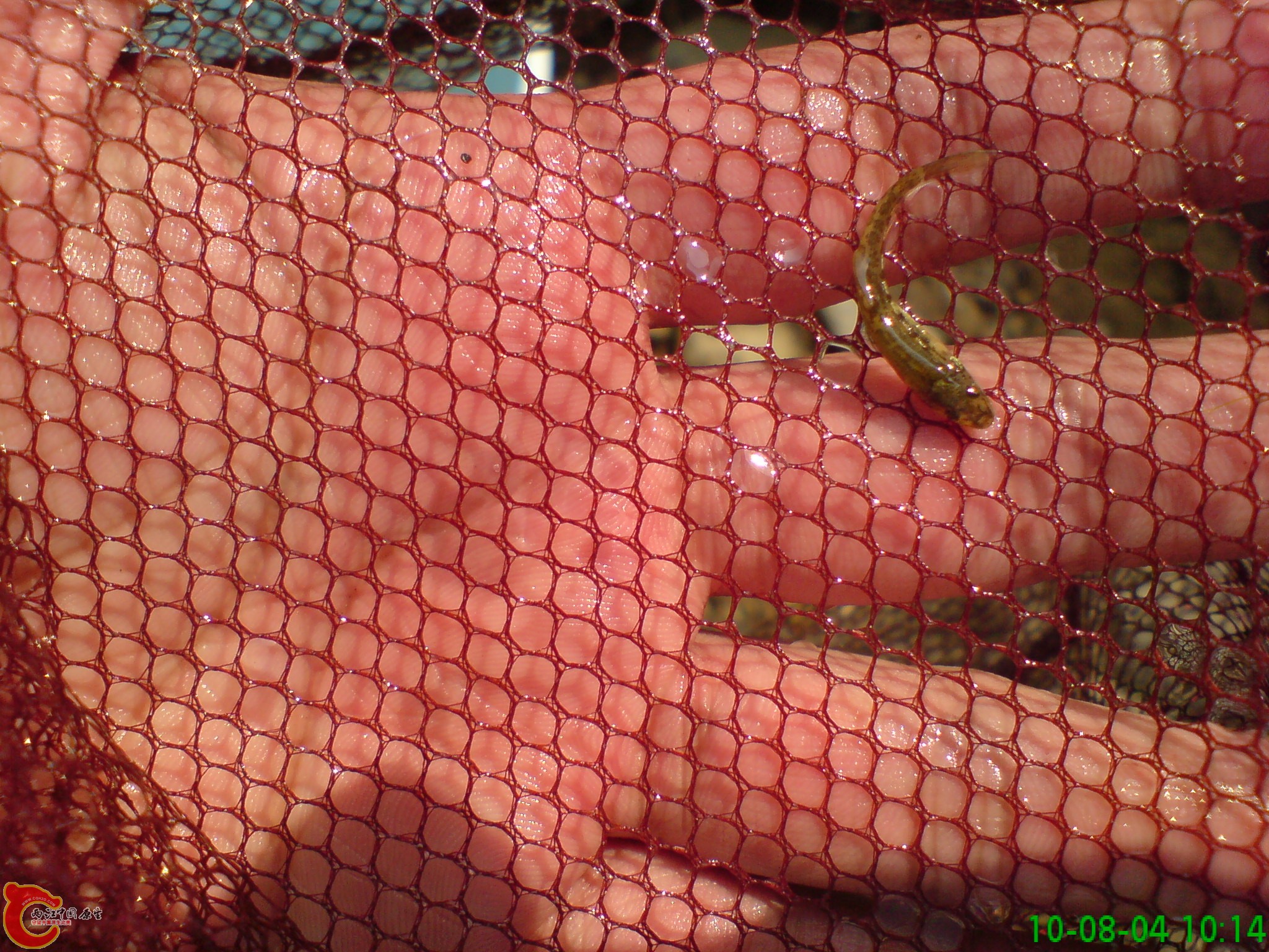 DSC01280.JPG
