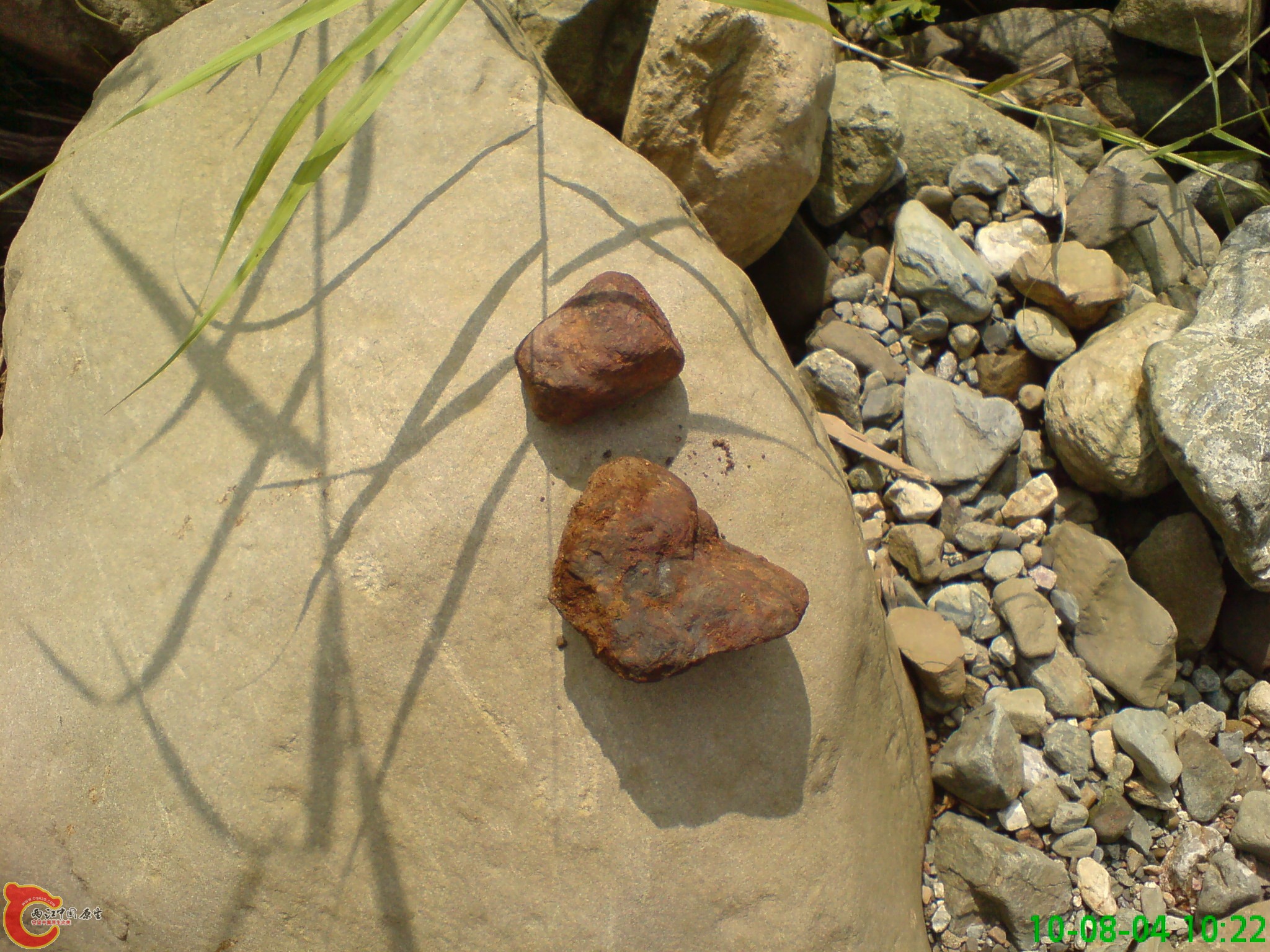 DSC01286.JPG