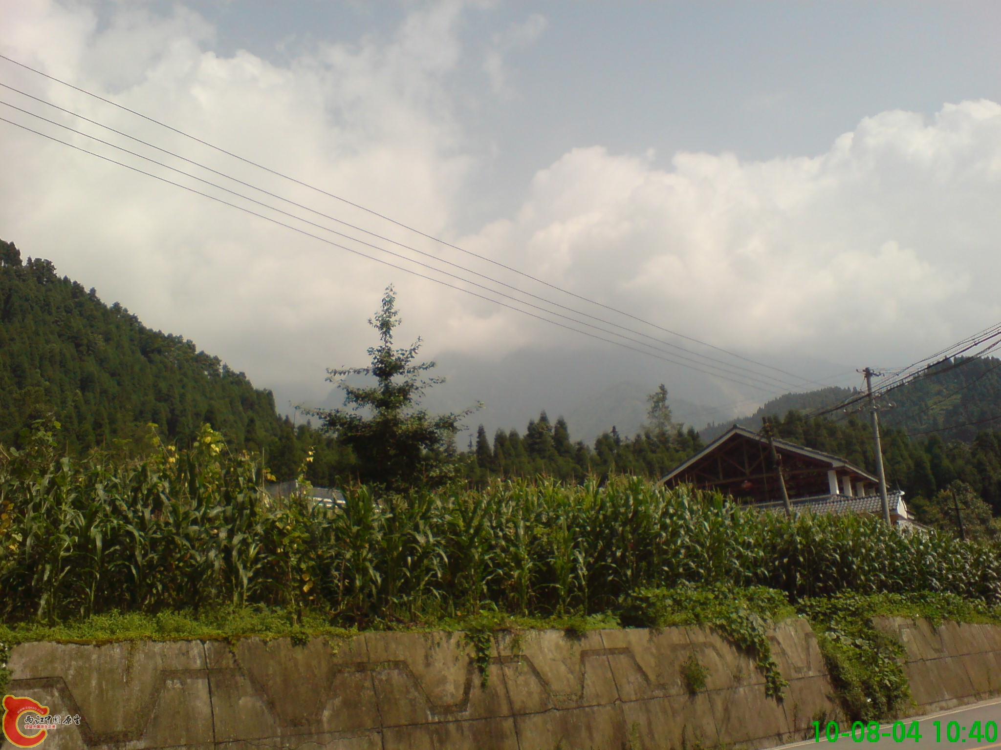 DSC01298.JPG