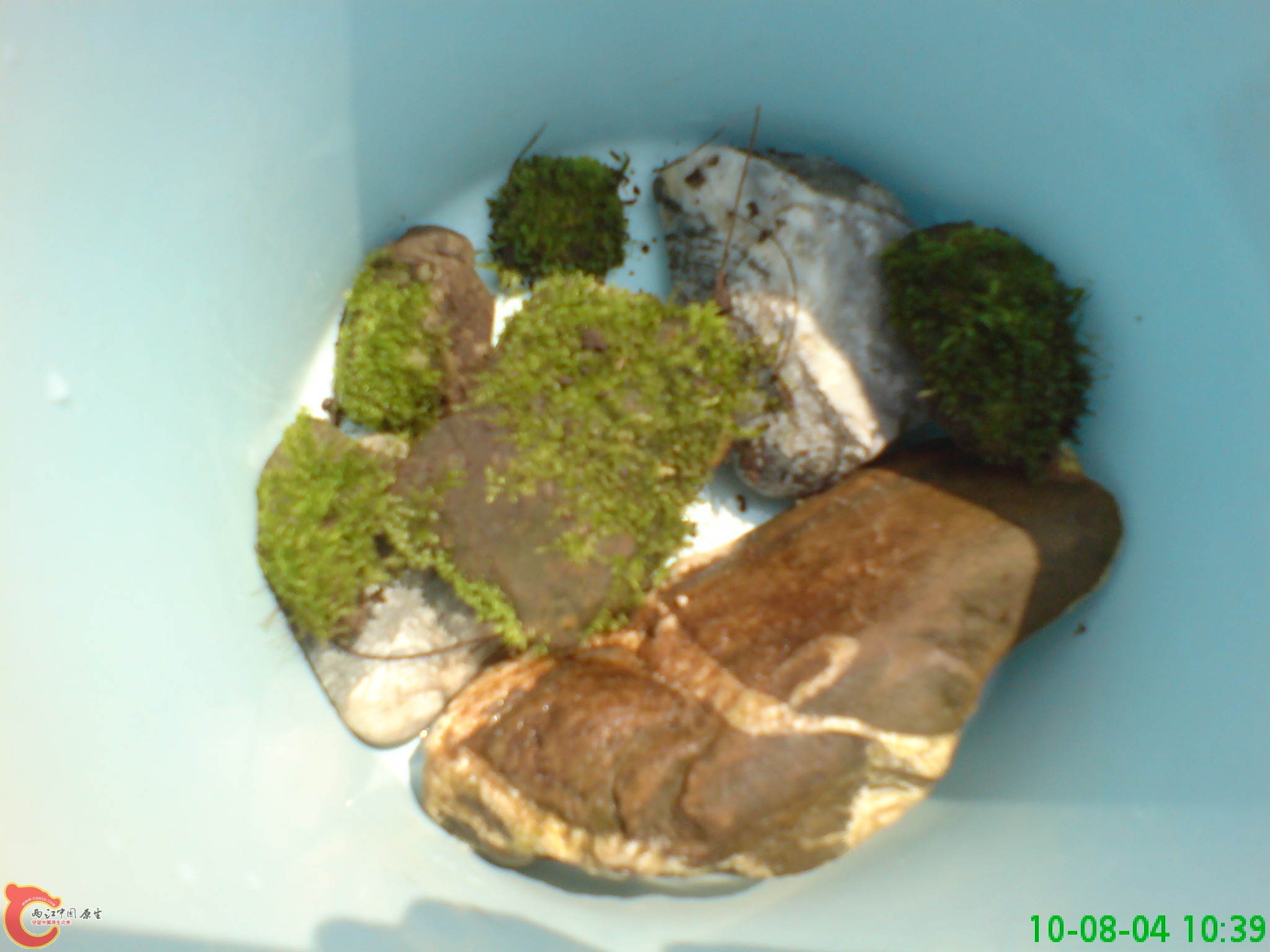 DSC01297.JPG