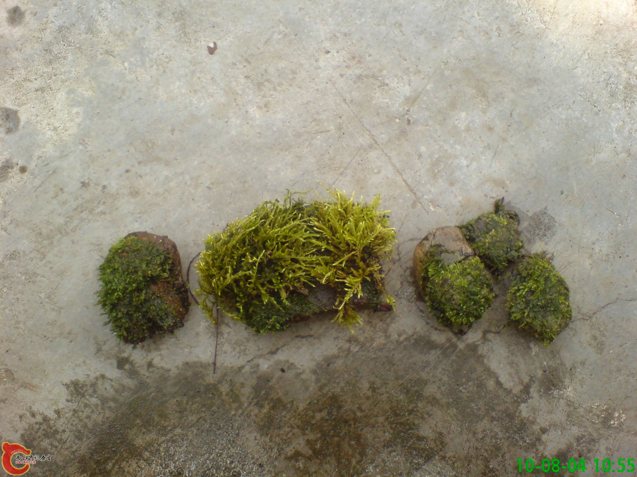 DSC01301.JPG