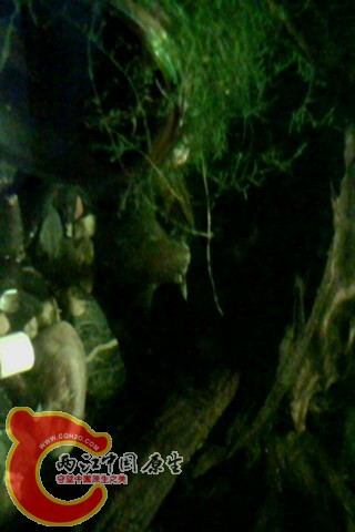 IMG0052A.jpg