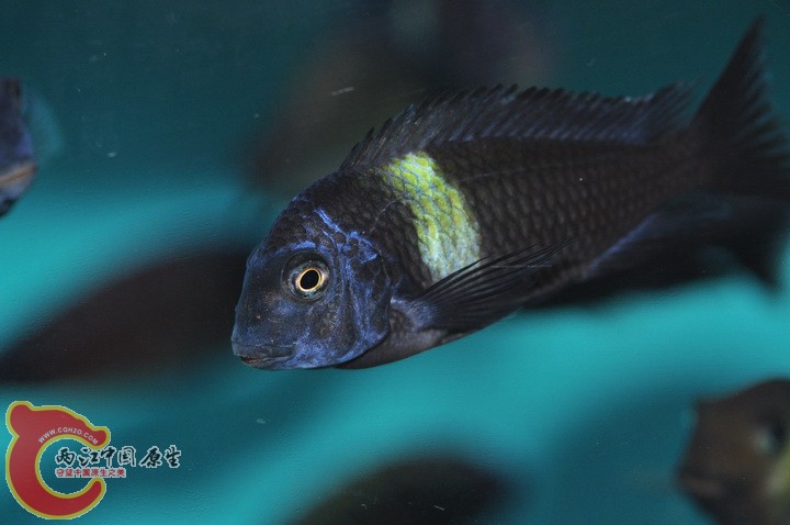DSC_0364.JPG