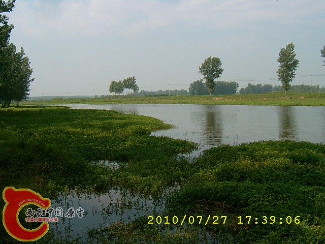 SUC30137.JPG