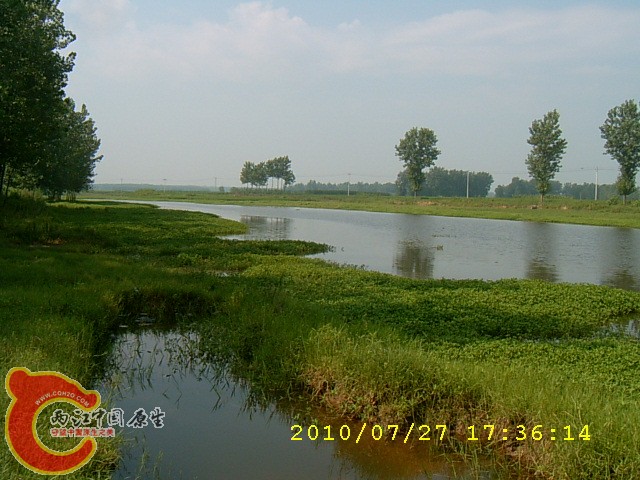 SUC30131.JPG