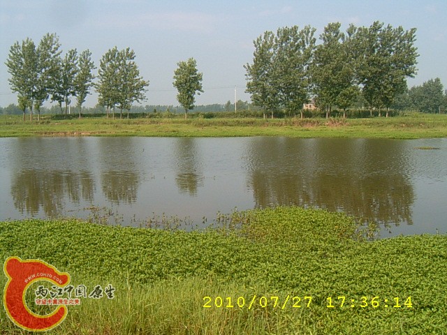 SUC30132.JPG