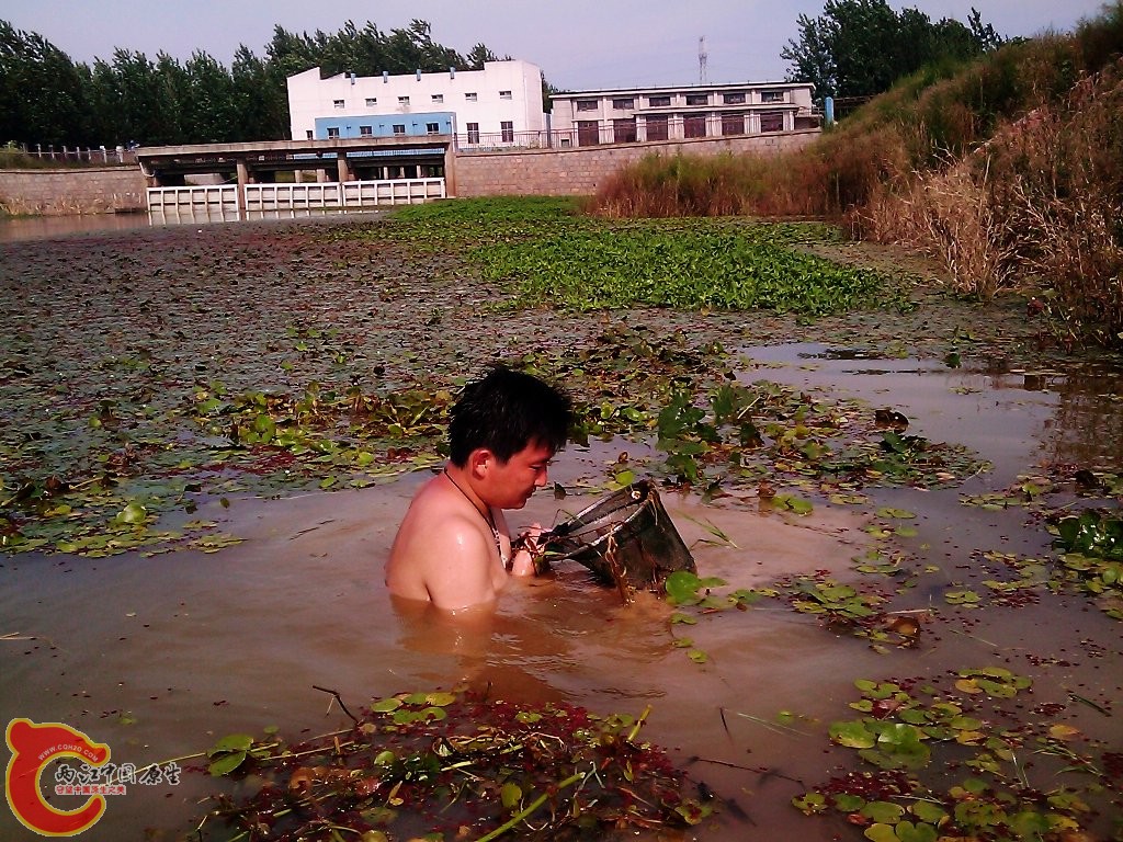 努力中