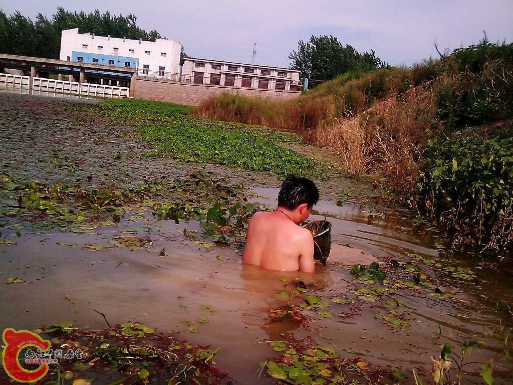 继续努力