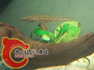 DSC03507.jpg