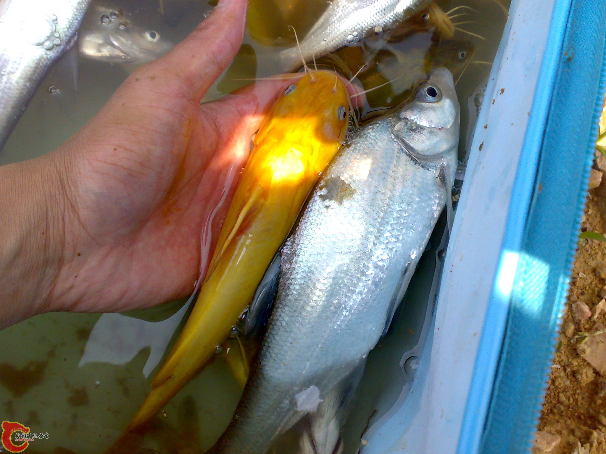 20090528342.jpg