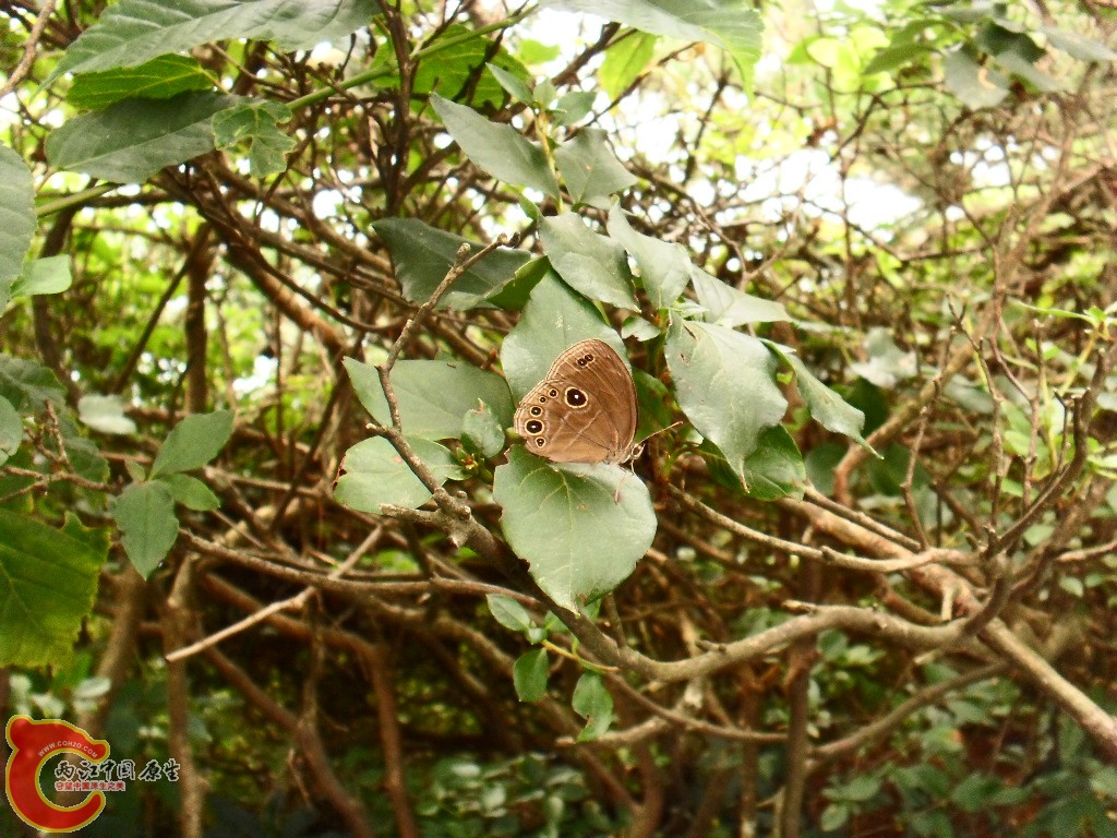 SDC13508.JPG