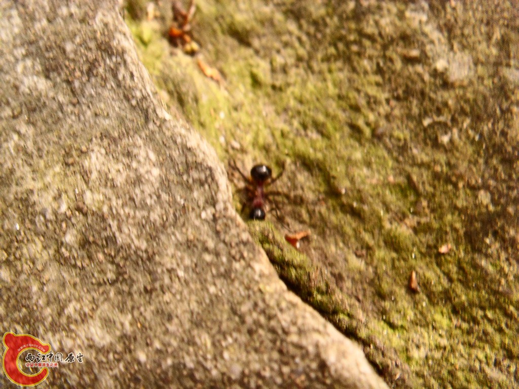 SDC13510.JPG