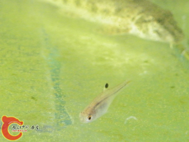 DSCF3641.JPG