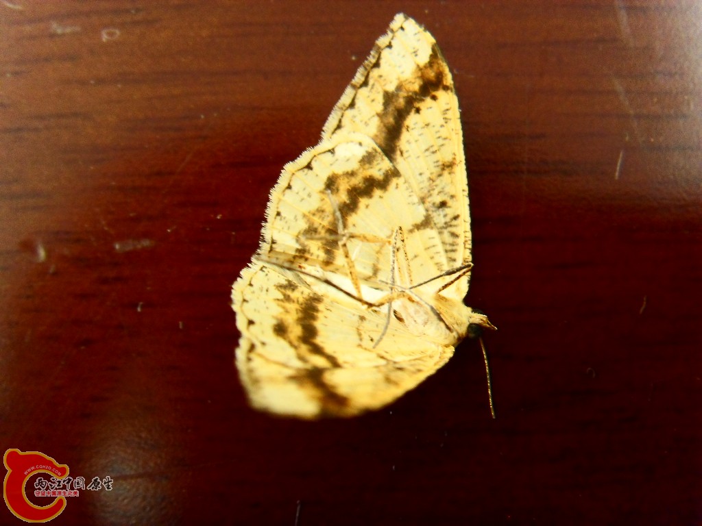 SDC13552.JPG