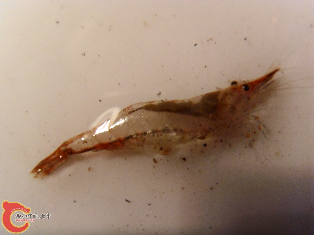 SDC13119.JPG